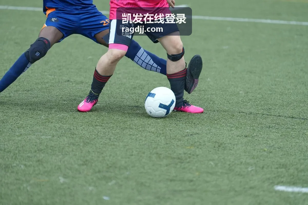 凯发在线登录平台管理面板展示